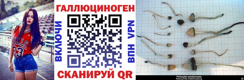 Псилоцибиновые грибы Cubensis  купить наркотики сайты  Данков 